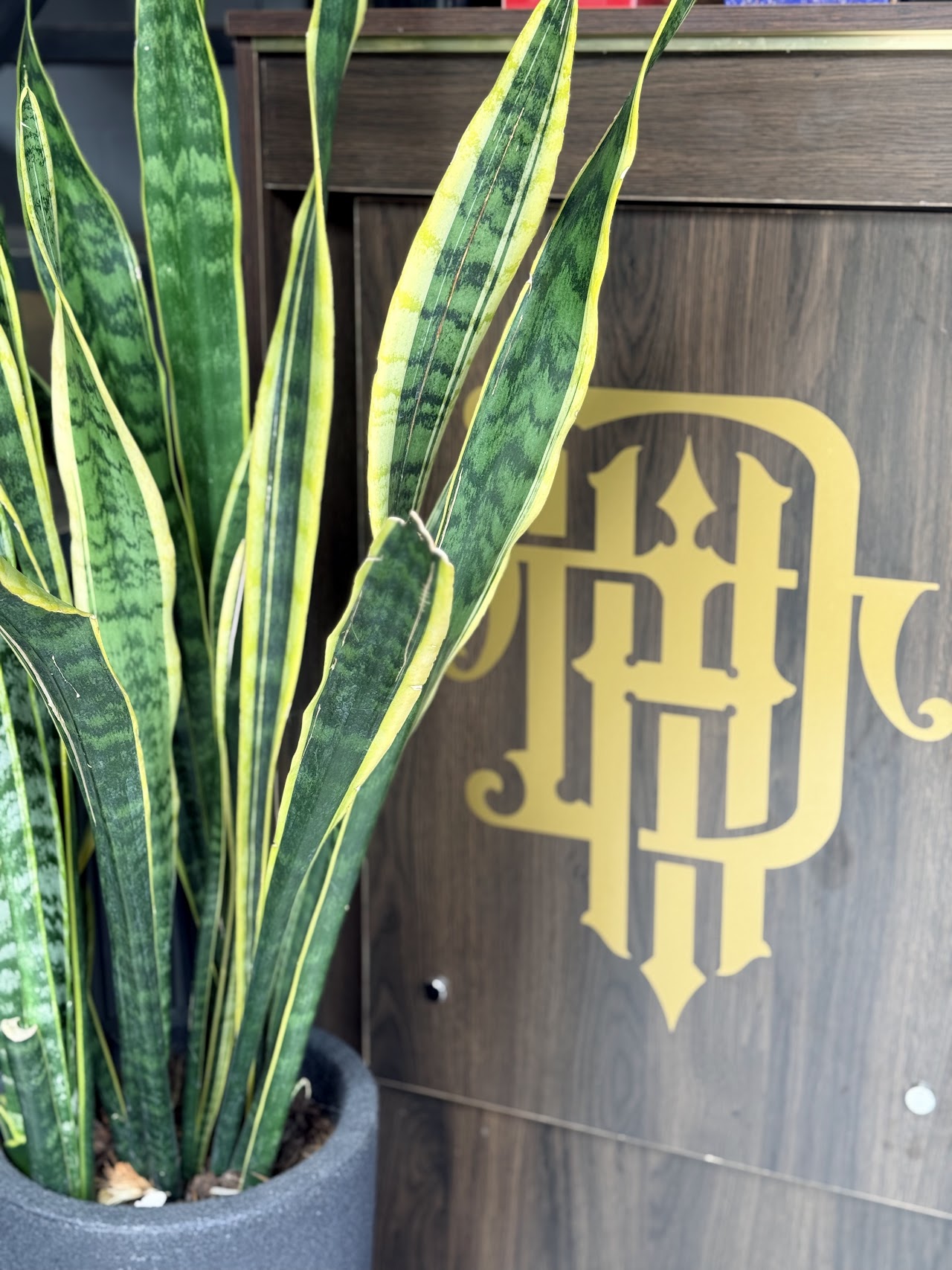 Detalle de marca en Dealer House Tattoo